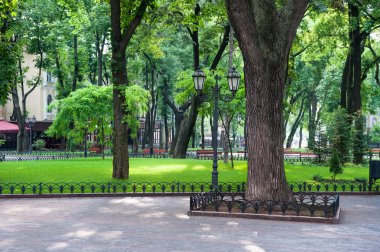 yaz günü Şehir Parkı