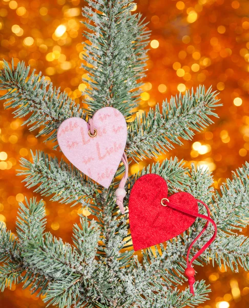 Two hearts on christmas fir tree branch — Stock Photo, Image