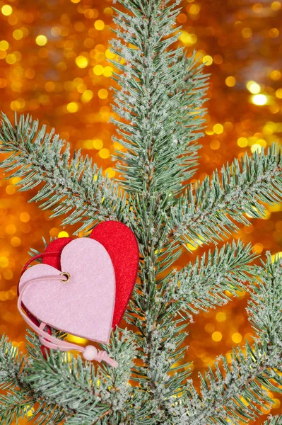Two hearts on christmas fir tree branch — Stock Photo, Image