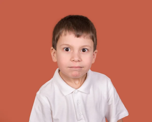 Boy portrait in white shirt on brown — Stock Photo, Image