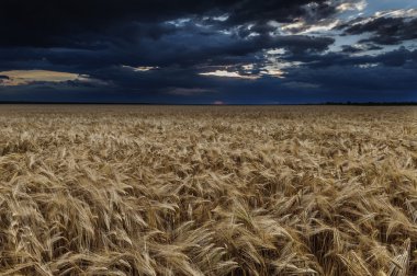 karanlık dramatik alan ve gökyüzü manzara