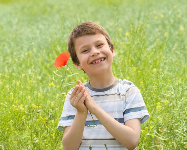 Boy on red flower meadow — Stock Photo, Image