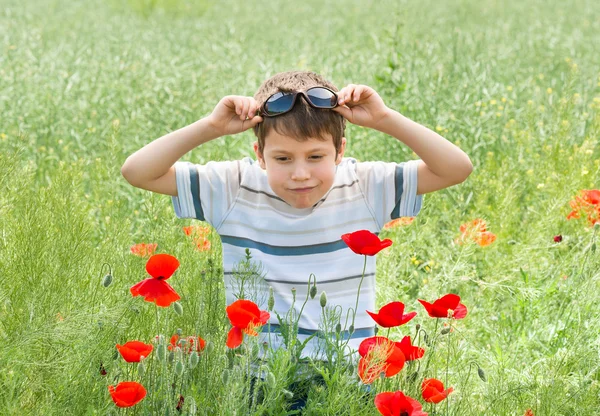 Jongen op rode bloem weide — Stockfoto