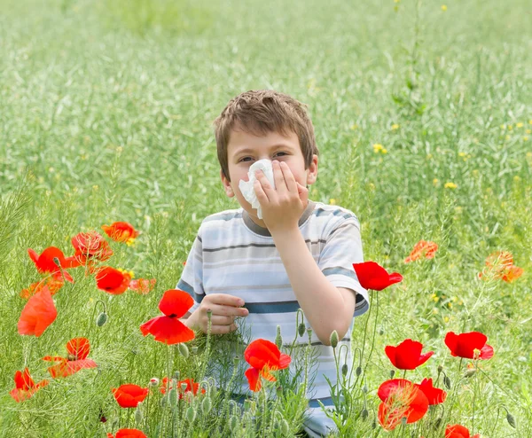 Allergy boy with handkerchief on red flower field — Stock Photo, Image