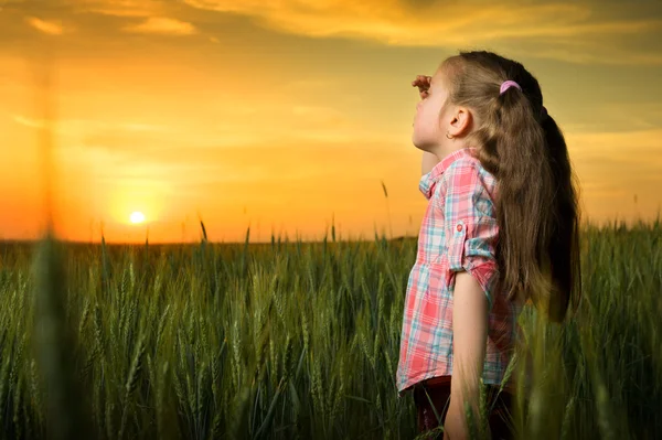 Meisje op zoek bij zonsondergang — Stockfoto