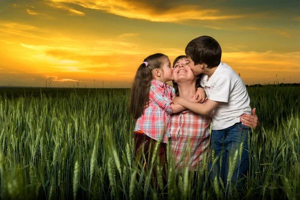 Счастливая семья на закате. ребенок целует маму — стоковое фото