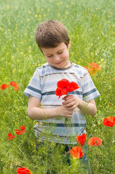 Boy on red flower meadow — Stock Photo, Image
