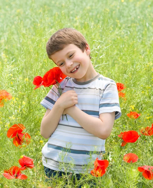 Boy on red flower meadow — Stock Photo, Image