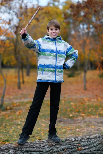 Portret Chłopca Jesiennym Parku Dziecko Stoi Pniu Drzewa Bawi Się — Zdjęcie stockowe
