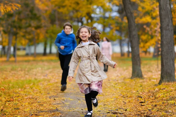 孩子们在秋天的公园里沿着小路奔跑 他们玩 他们有很多的乐趣 美丽的自然和黄叶树木 — 图库照片