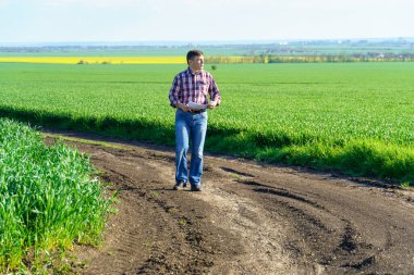 Çiftçi kılığında bir adam, ekose gömlek ve kot giymiş bir şekilde tarlada poz verir, genç lahanaları, buğday, arpa, çavdar veya diğer mısır gevreklerini, tarım ve tarım kavramını kontrol eder ve inceler.