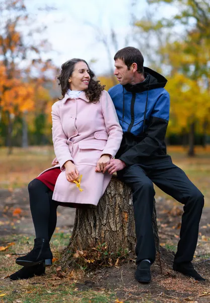 Casal Sentado Toco Parque Outono Bela Natureza Árvores Com Folhas — Fotografia de Stock