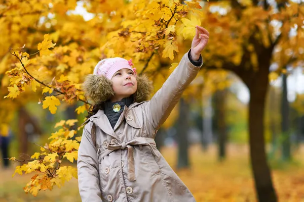 Portrait Une Fille Dans Parc Automne Enfant Tient Près Bel — Photo