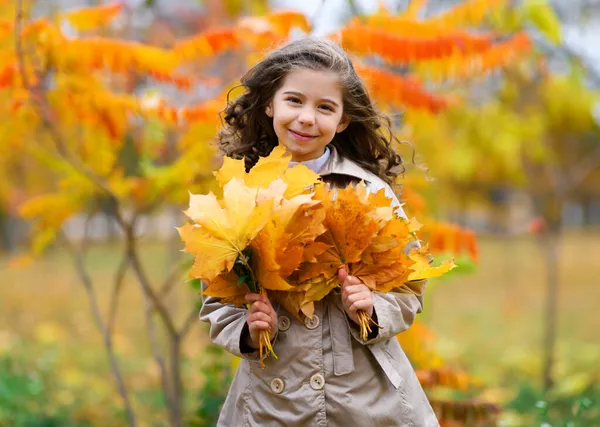 Portrait Une Fille Dans Parc Automne Enfant Tient Près Bel — Photo