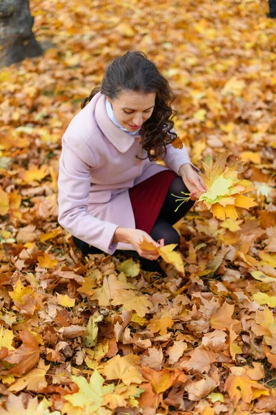 Portrét Ženy Podzimním Parku Shromažďuje Žluté Javorové Listy Mýtině — Stock fotografie