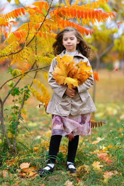 秋天公园里一个女孩的画像 那孩子站在一棵红黄相间的美丽的树旁 美丽的自然 — 图库照片