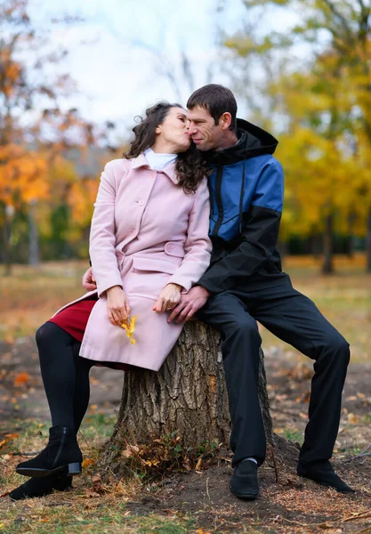 Пара Сидящая Пне Осеннем Парке Красивая Природа Деревья Желтыми Листьями — стоковое фото