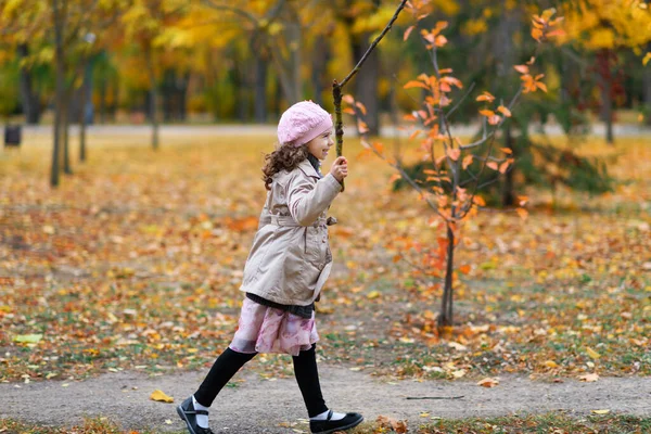 Een Meisje Loopt Een Pad Een Herfstpark Een Gelukkig Kind — Stockfoto