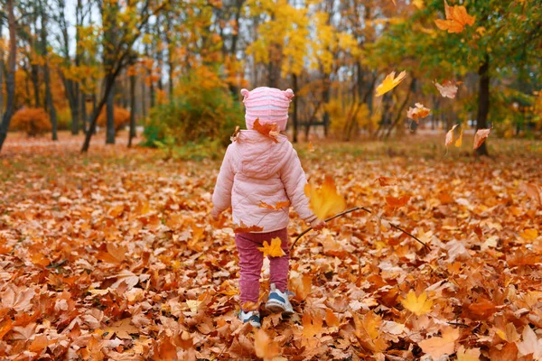 Holčička Sedící Spadlém Listí Podzimním Městském Parku Krásná Příroda Stromy — Stock fotografie