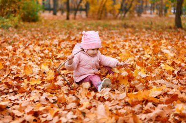 Sonbahar parkında düşen yaprakların üzerinde oturan kız çocuğu. Güzel doğa, sarı yapraklı ağaçlar..