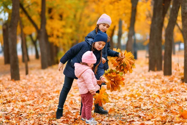 Flickor Som Leker Höstens Stadspark Två Barn Leker Med Gula — Stockfoto