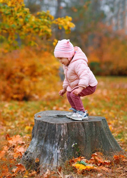 Portret Van Een Meisje Het Park Poseren Een Stomp Prachtige — Stockfoto