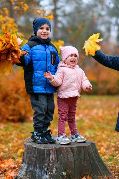 Portret Dzieci Jesiennym Parku Miejskim Szczęśliwi Ludzie Bawiący Się Razem — Zdjęcie stockowe