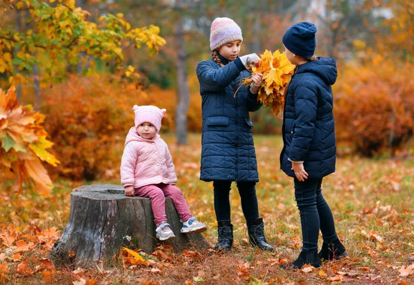 공원에 아이들 사람들이 아름다운 속에서 나뭇잎을 배경으로 — 스톡 사진