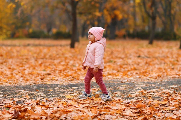 Kind Meisje Wandelen Herfst Stadspark Prachtige Natuur Bomen Met Gele — Stockfoto