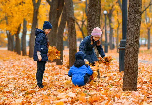 Bambini Che Giocano Con Foglie Acero Giallo Nel Parco Cittadino — Foto Stock
