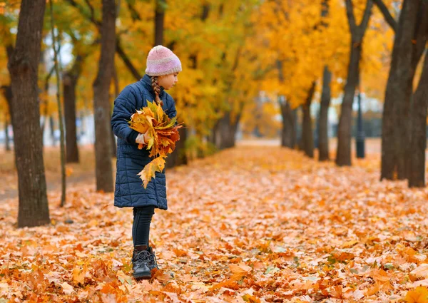 Ritratto Bambina Nel Parco Cittadino Autunnale Bella Natura Alberi Con — Foto Stock