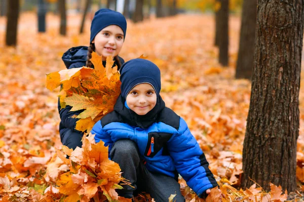 Portrét Dětí Podzimním Městském Parku Sbírají Listí Krásná Příroda Stromy — Stock fotografie