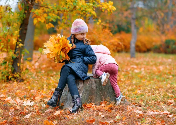 Portret Dzieci Jesiennym Parku Miejskim Szczęśliwi Ludzie Siedzący Razem Kikucie — Zdjęcie stockowe