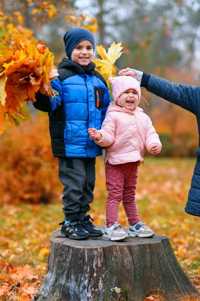 Portret Van Een Kind Een Herfststadspark Gelukkige Mensen Die Samen — Stockfoto