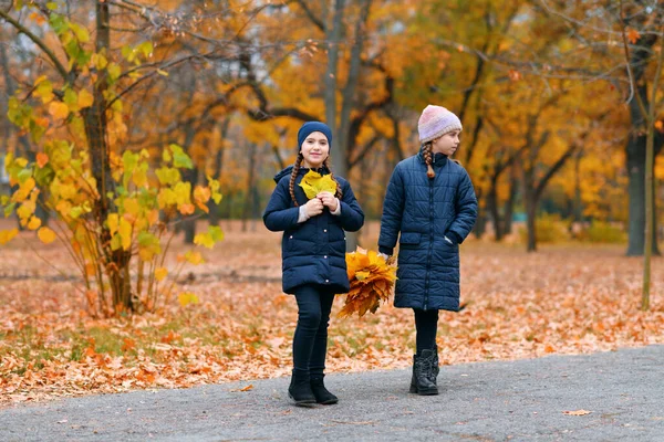 Meninas Brincando Posando Parque Cidade Outono Duas Crianças Brincam Com — Fotografia de Stock