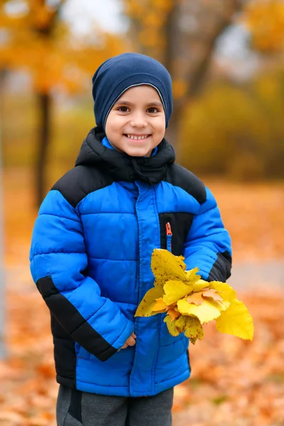 Portret Chłopca Jesiennym Parku Miejskim Piękna Natura Drzewa Żółtymi Liśćmi — Zdjęcie stockowe