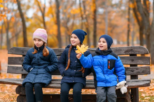Portrét Dětí Podzimním Městském Parku Šťastní Lidé Sedící Společně Dřevěné — Stock fotografie