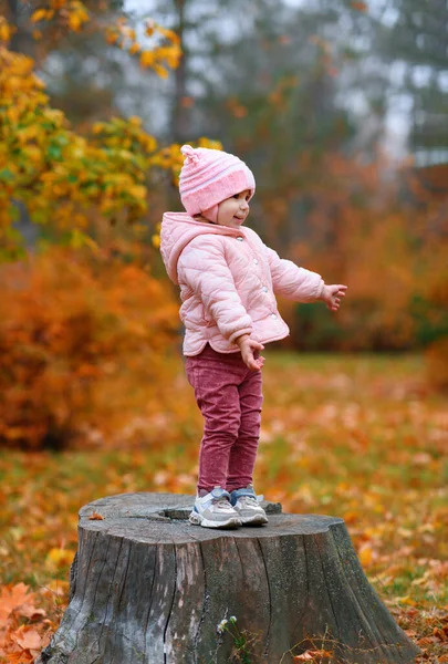 Portret Dziewczynki Parku Jesiennym Pozowanie Pniu Piękna Natura Drzewa Żółtymi — Zdjęcie stockowe