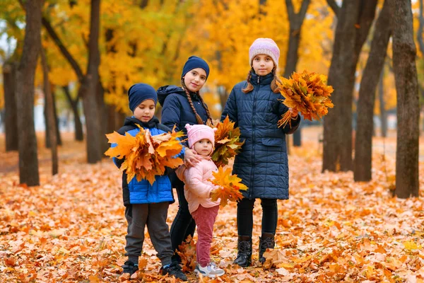 Children Playing Yellow Maple Leaves Autumn City Park Fall Season — Stock Photo, Image