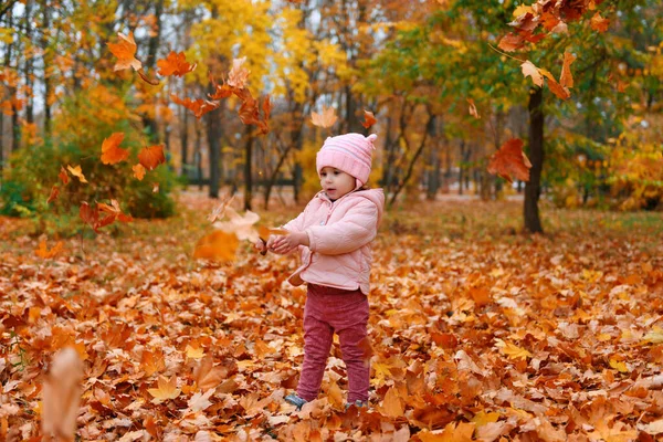 秋の都市公園で落ち葉で遊んでいる子供の女の子 美しい自然 黄色の葉を持つ木 — ストック写真