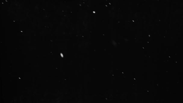 Imágenes Nieve Reales Naturales Sobre Fondo Negro Aislado Utilizando Para — Vídeo de stock