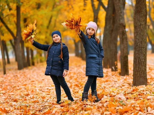 Meninas Brincando Posando Parque Cidade Outono Duas Crianças Brincam Com — Fotografia de Stock