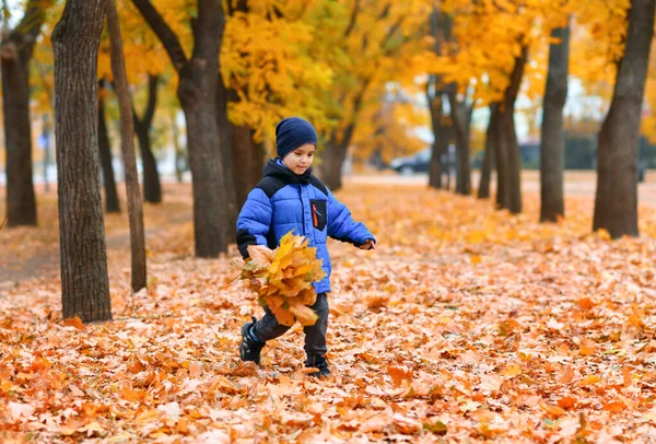 Junge Läuft Herbstlichen Stadtpark Schöne Natur Bäume Mit Gelben Blättern — Stockfoto