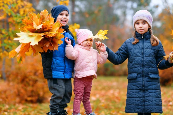 Портрет Детей Осеннем Городском Парке Счастливые Люди Играющие Вместе Пне — стоковое фото