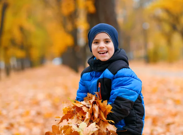 Portrét Malého Chlapce Podzimním Městském Parku Krásná Příroda Stromy Žlutými — Stock fotografie