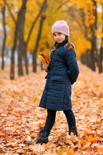 Porträtt Flicka Höstens Stadspark Vacker Natur Träd Med Gula Blad — Stockfoto