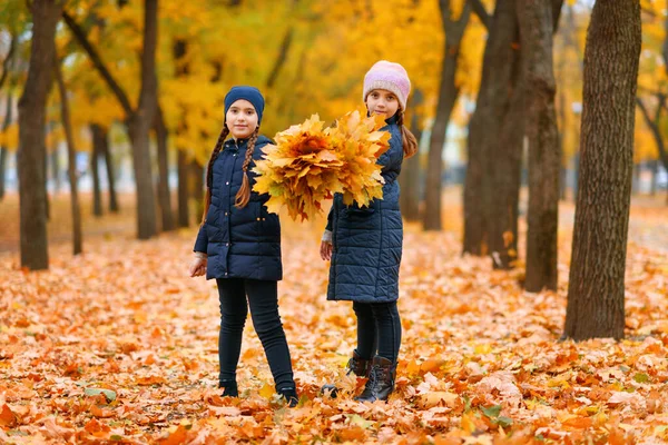 공원에서 애들이 포즈를 취한다 아이가 노란색 단풍잎을 가지고 있습니다 나무와 — 스톡 사진