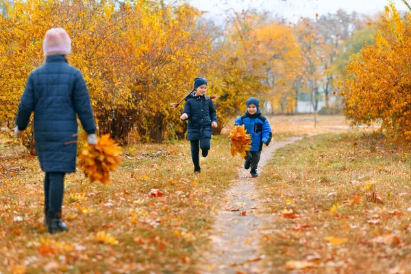 Дети Бегают Осеннем Городском Парке Красивая Природа Деревья Желтыми Листьями — стоковое фото