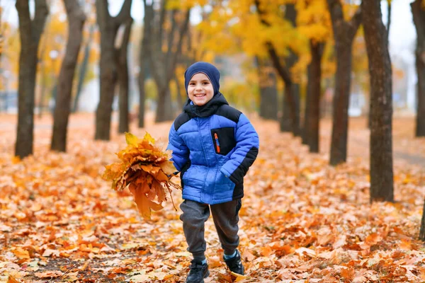 Junge Läuft Herbstlichen Stadtpark Schöne Natur Bäume Mit Gelben Blättern — Stockfoto