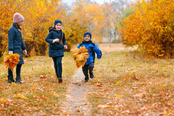 Dzieci Biegające Jesiennym Parku Miejskim Piękna Natura Drzewa Żółtymi Liśćmi — Zdjęcie stockowe